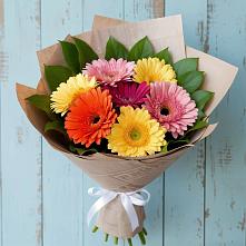 Букет цветов из:  Герберы в Казинке Ставропольский край