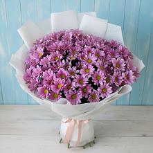 Букет цветов из:  Хризантемы в Казинке Ставропольский край