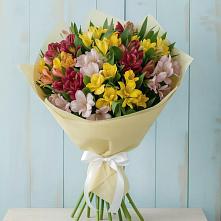 Букет цветов из:  Альстромерии в Казинке Ставропольский край