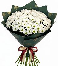 Букет цветов из:  Хризантемы #REPLACE_PRED# Казинке Ставропольский край