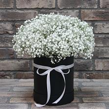 Цветочная композиция из Гипсофила в шляпной коробке в Казинке Ставропольский край