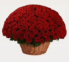 Премиум букет из: Розы в Казинке Ставропольский край