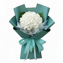 Букет цветов из:  Гортензия в Казинке Ставропольский край